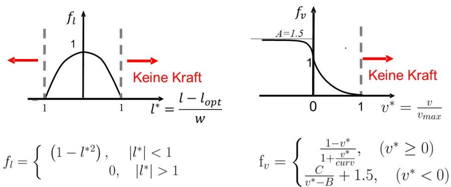 formlen.jpg