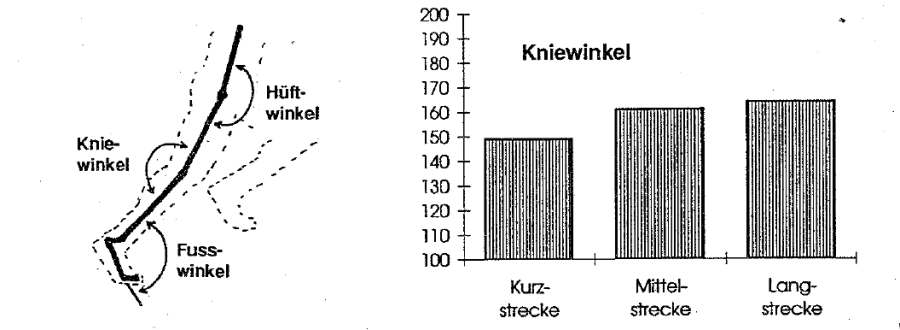 kniewinkel.png